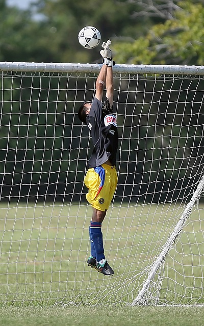 法的机会 法的机会