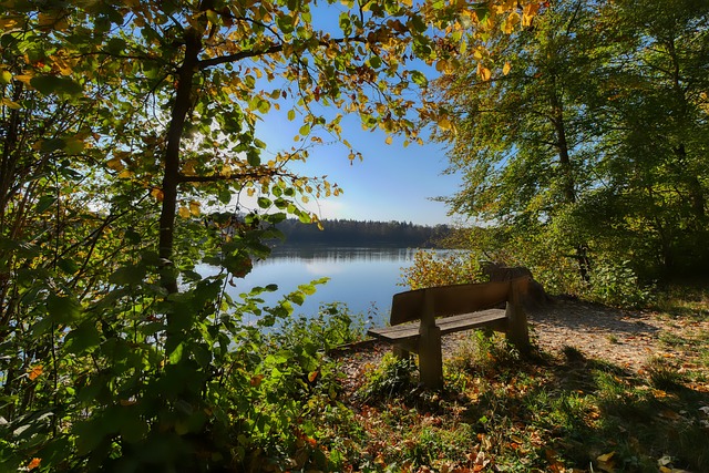 支競技能力 支競技能力