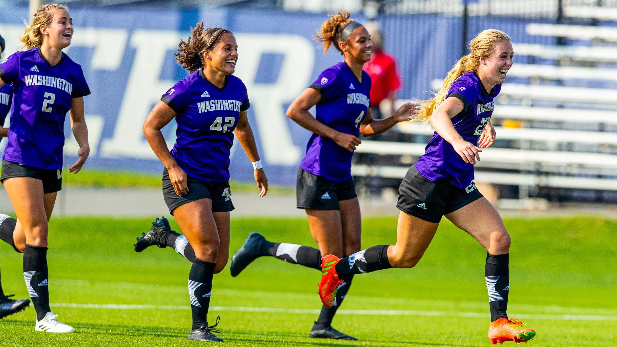 提供机会 提供机会