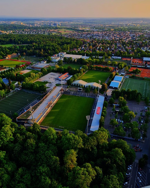 比赛策略 比赛策略